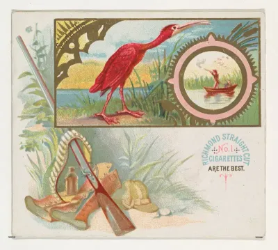 Scarlet Ibis, from the Game Birds series (N40) for Allen & Ginter Cigarettes