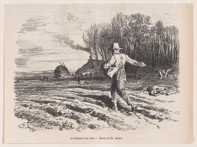 Scattering Seed, from "Le Magasin Pittoresque"