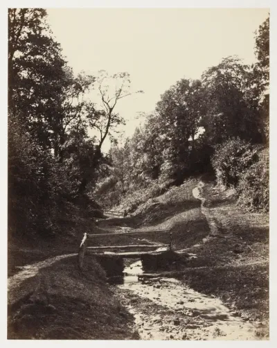Scene near Godalming, Surrey