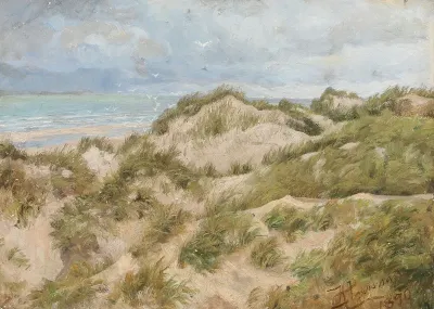 Scenery from the dunes near Skagen.