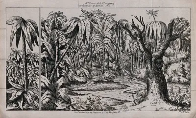 Scenery to be used in a toy theatre: a lake surrounded by palm trees