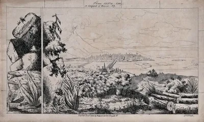 Scenery to be used in a toy theatre: a landscape with felled palm trees overlooking a waterway with a brige built to the city on the other side