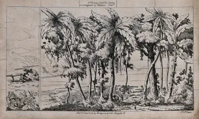 Scenery to be used in a toy theatre: palm trees on the water's edge with a mountainous region on the other side