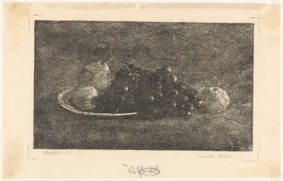 Schaal met druiven en ander fruit