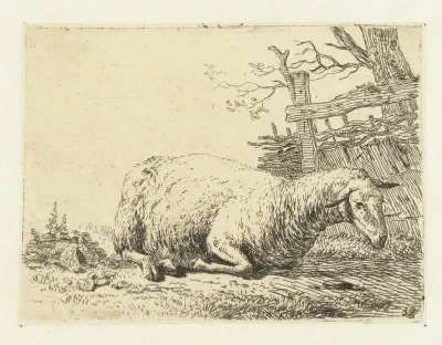 Schaap bij een gevlochten hek