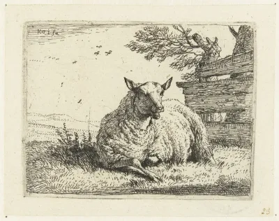 Schaap bij een hek