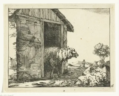 Schaap bij schaapskooi