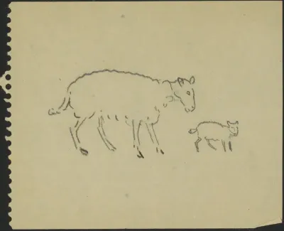 Schaap en een lam