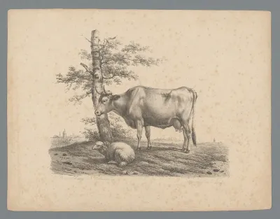 Schaap en koe bij een boom