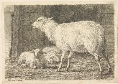Schaap en lammeren in een schuur