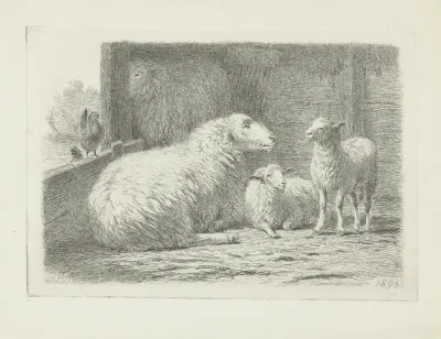 Schaap en twee lammeren in een schuur