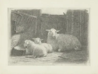 Schaap en twee lammeren in een stal