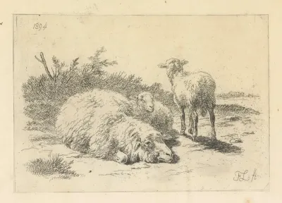 Schaap en twee lammeren
