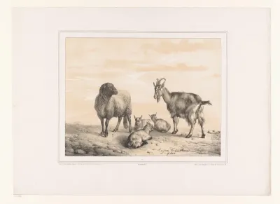 Schaap, geit en drie jonge geiten