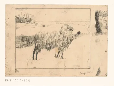 Schaap in een kustlandschap