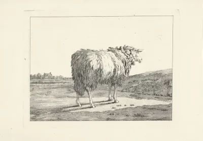 Schaap in een landschap