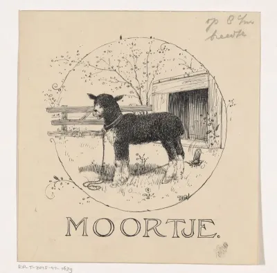 Schaap in een wei