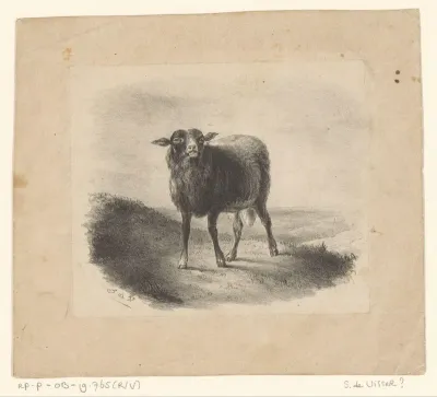 Schaap in weidelandschap