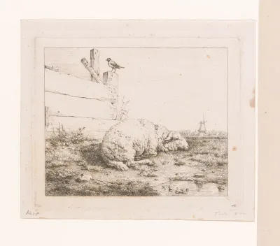Schaap liggend bij hek