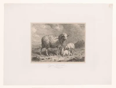 Schaap met twee lammeren