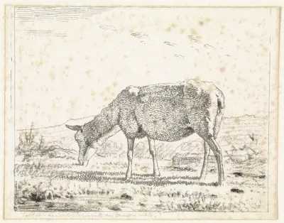 Schaap naar links