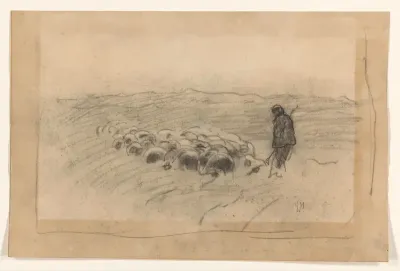 Schaapherder met kudde op de heide
