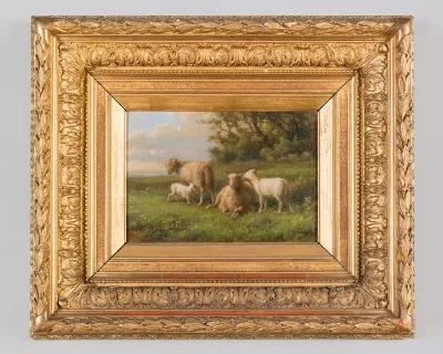 Schaapjes in het gras