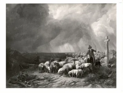 Schafherde vom Gewitter überrascht