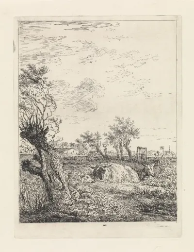 Schapen en een geit in een weiland