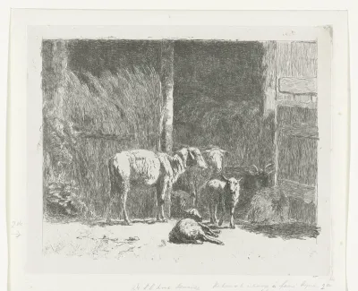 Schapen en lammeren en liggende bok bij stal