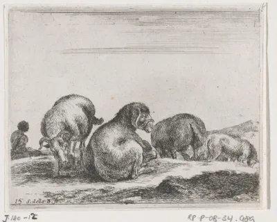 Schapen en rammen