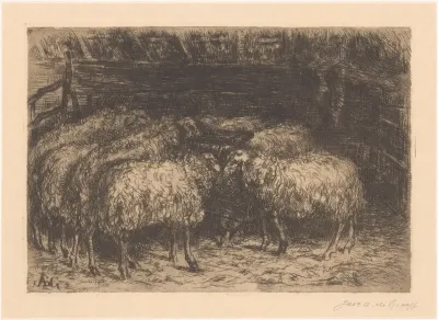 Schapen in een stal