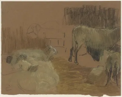 Schapen in een stal