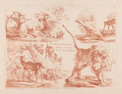Schapen, kalkoenen, geiten en leeuw