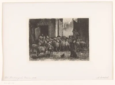 Schapen verlaten de stal