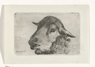 Schapenkop