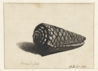 Schelp