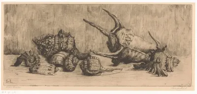 Schelpen