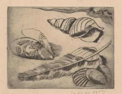 Schelpen en een veer