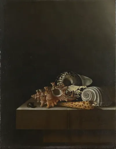 Schelpen op een stenen plint