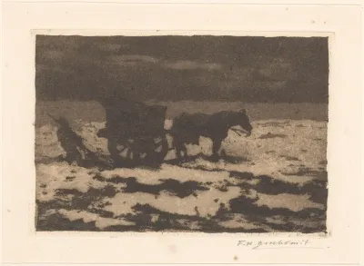Schelpenvisser