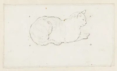 Schematische tekening van een zittende kat