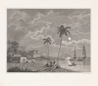 Schepen voor de kust van een tropisch land, bij nacht