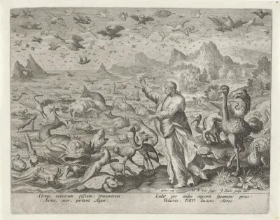 Schepping van de vogels en de zeedieren