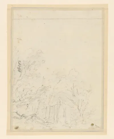 Schets van bomen