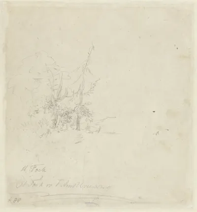 Schets van bomengroep