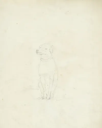 Schets van een zittend hondje