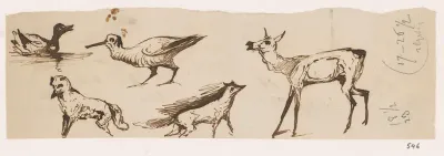 Schetsblad met dieren