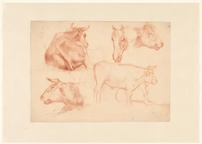 Schetsblad met diverse studies van koeien en een studie van een paardenhoofd