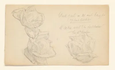 Schetsblad met drie rozen (?)